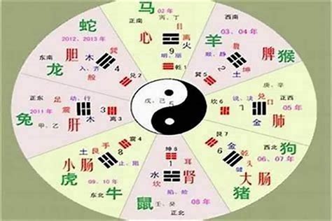 世五行|世字的五行属性